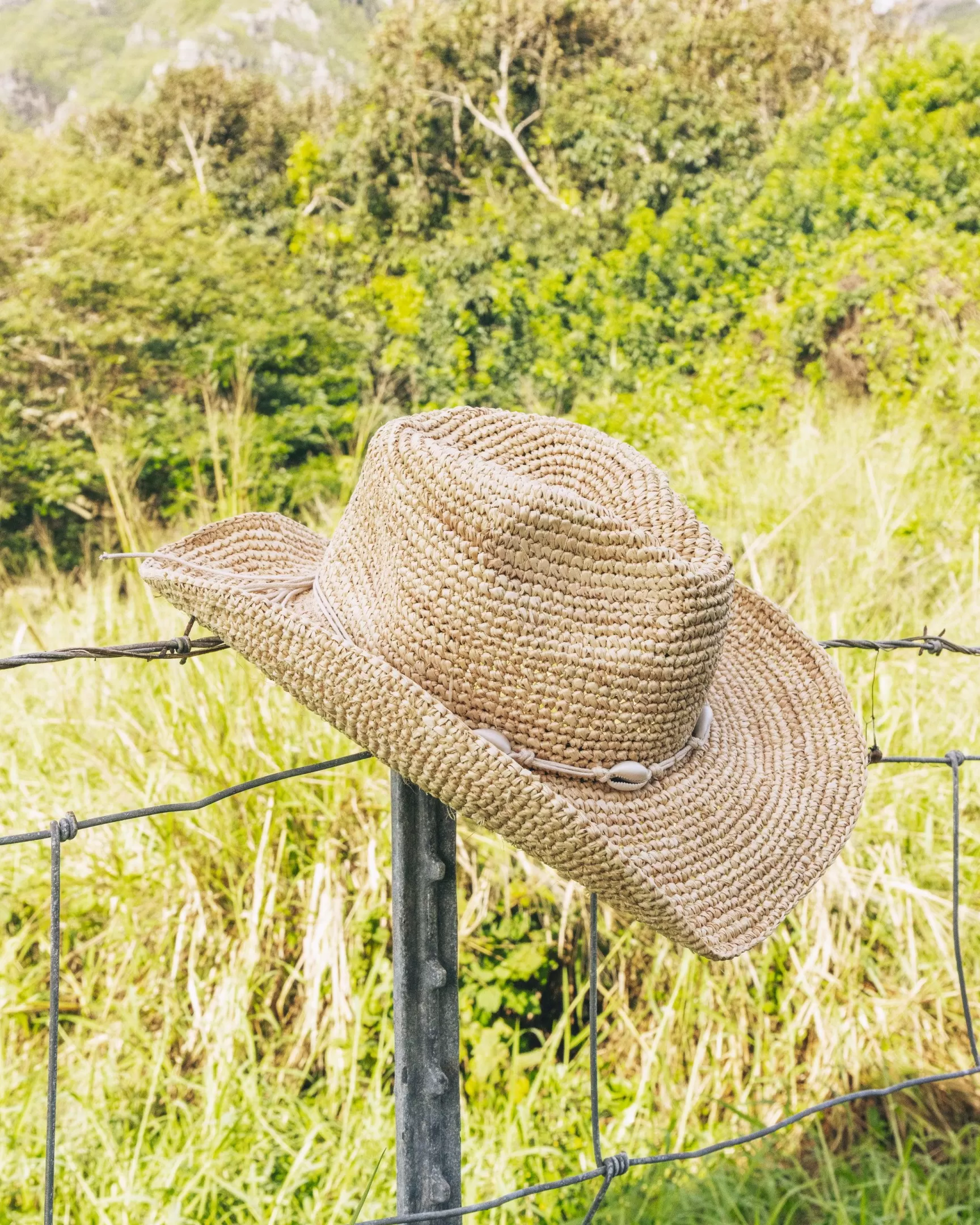 Cowgirl Straw Hat*Hurley Discount